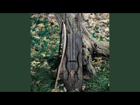 Eden Bass Soundcheck