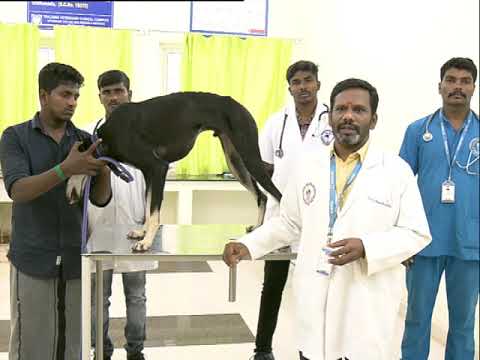 Pon Vilaiyum Bhoomi (23/03/2020) Agricultural Technology: