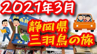 【旅動画】2021年3月静岡駿河方面の旅【ゲーコレ】