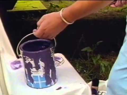 Löwenzahn Classics 093 Peter sucht das schrille lila