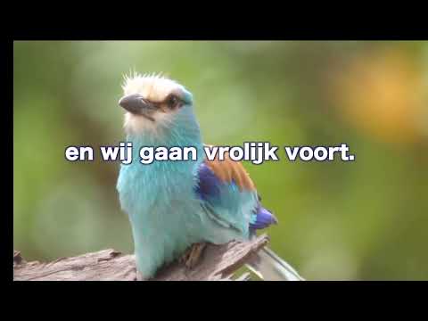 OPwekking 148 Gods volk wordt uitgeleid