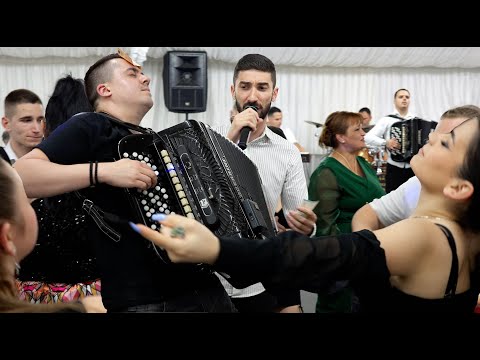 🔥Gori sator na 40 stepeni🔥 - Denis Papun , Aca Nikolic Brajic i Milan Strasni, svadba u Selevcu