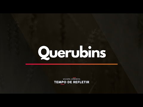 Tempo de Refletir 2399 - Querubins