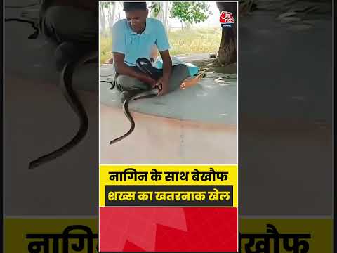 Viral: नागिन के साथ बेखौफ शख्स का खतरनाक खेल #viral  #trending #ATShorts