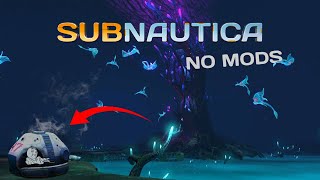 Can You Beat Subnautica Starting In The Lost River