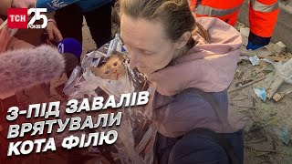 У Києві з-під завалів зруйнованого будинку врятували кота Філю: зворушливе відео