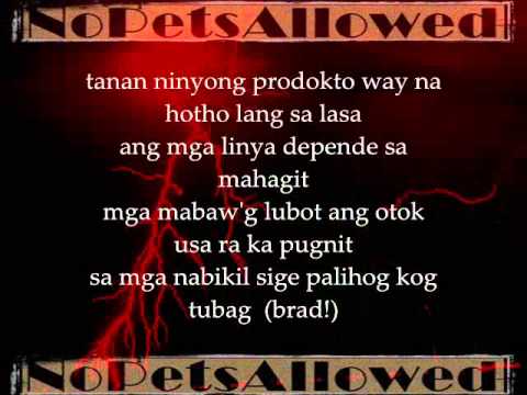 REBEL - NoPetsAllowed Lyrics on screen