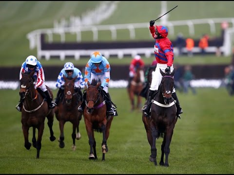 Sprinter Sacre - The Season A Champion Resurrected