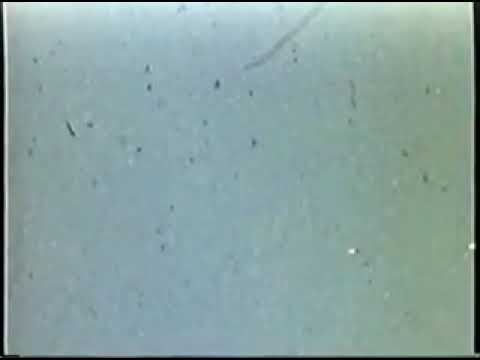 Alien Craft Sighted Over Tremonton Utah