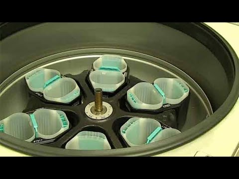 Pet blood bank UK - dogs can donate blood too!