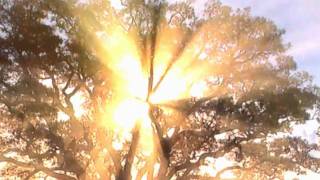 Gato Barbieri - Straight Into the Sunrise