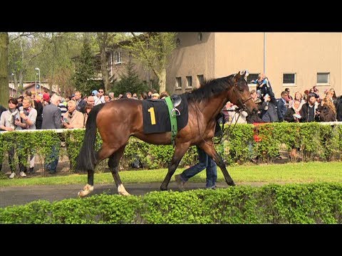 Auftakt in Hoppegarten