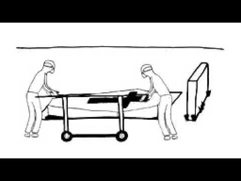 Das Leben vom Tod bis zur Geburt