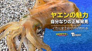 【アオリイカ】CD式ヤエン釣りが楽しすぎて沼ります【ヤエン】