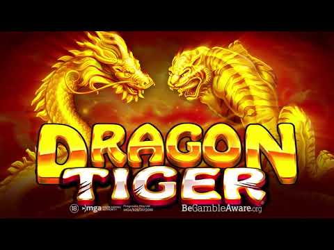 Dragon Tiger Slot Casino Game video