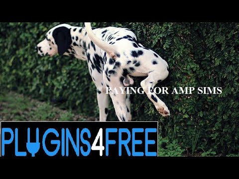 12 of the Best Free Amp Sims under 5mb from plugins4free.com (I sorted them so you don't have to!)