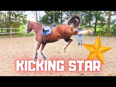 Kicking Rising Star⭐! Where Is Teije Rein Heading? Q&A & Much More! | Friesian Horses