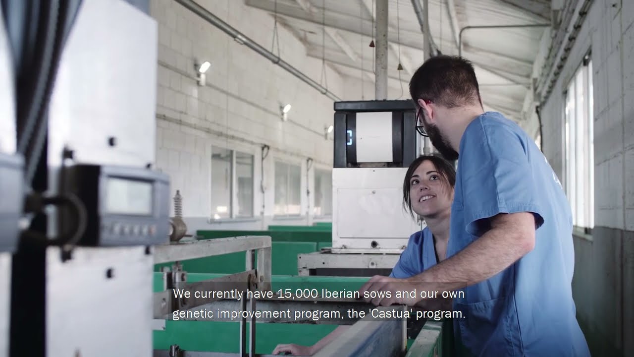 Freeda Pig Performance Testing PPT at Ingafood, Spain (Spanish - English sub)