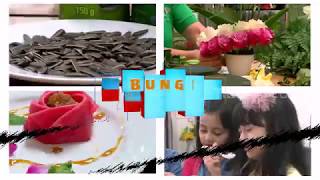 Download lagu LAPTOP SI UNYIL | BUNGA PEMIKAT (26/12/18) PART 1 mp3