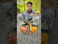 4 Big And Small Remote Control Animals Unboxing Horse Deer Elephane