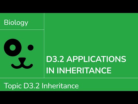 D3.2 Applications in Inheritance [IB Biology SL/HL]