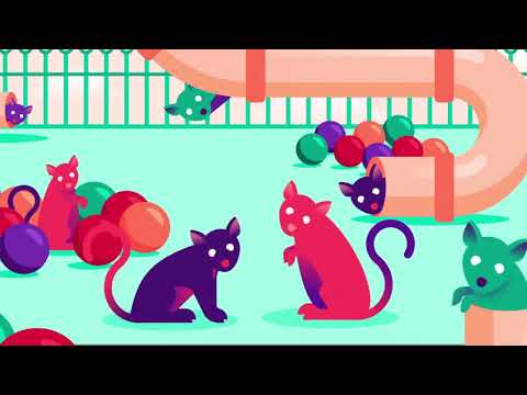 揭秘「上癮」的真面目 (Everything We Think We Know about Addiction Is Wrong)