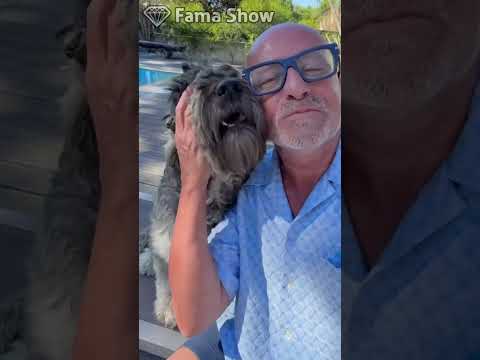 Manuel Luís Goucha protagoniza momento ternurento ao lado de um dos seus cães | Fama Show