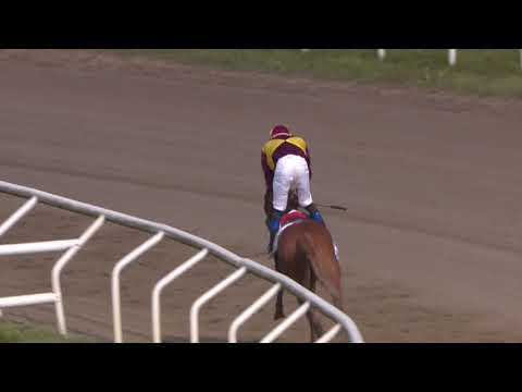 Svenskt Derby 2019 - Red Cactus
