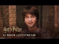 Harry Potter Cosiest Scenes Compilation