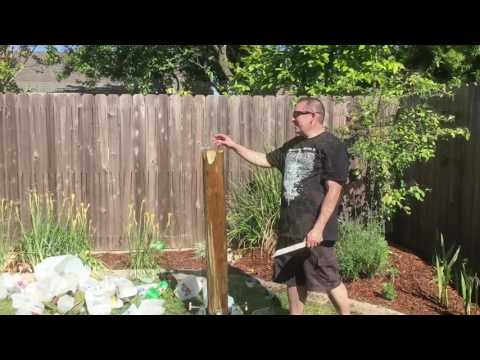 SBG NorCal Sword Gathering 2017