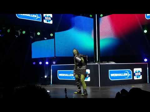 Dreamhack Winter 2018 Cosplay