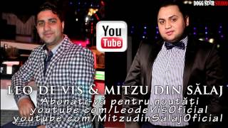 Mitzu din Salaj & Leo de Vis - Spune-mi Doamne | Official Audio