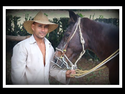 fly away: cuba jan 2024 the miniseries vol 4: faces featuring faces