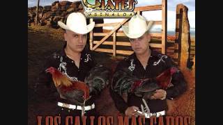 Los Cuates De Sinaloa-El Junior Terrazas