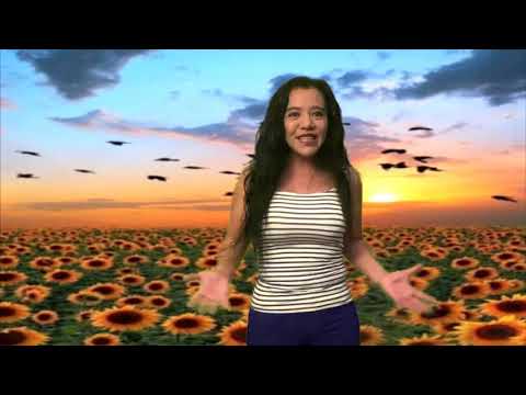 La Predica de Apolos