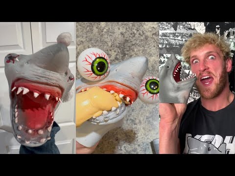 Shark Puppet TikTok Compilation 2025 - NEW Shark Puppet TikTok Videos