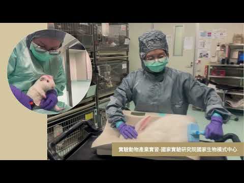  114 計畫活動花絮