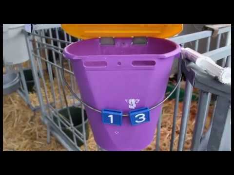 Youtuber auf dem Bauernhof - Teil 2