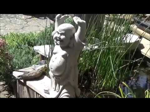 Bonsai 2019-6 - Kurzportrait - Rundgang durch meine Bäumchen in der Schale