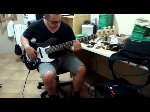 Xotic / Bergantino EX112 / RH750 (1)