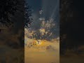Thammil Thammil Ormakal ️ Mozhikalum Mounangalum Malayalam Whatsapp Status Lyrics