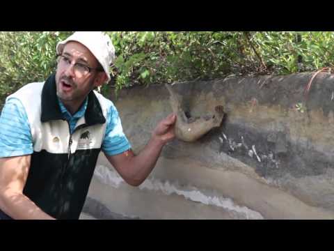 A Kids’ Guide to Stratigraphy with Grant Zazula, Yukon Palaeonlotogist.