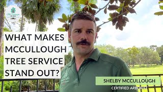 7 Reasons Why McCullough Tree Service Is the Best in Orlando, Florida