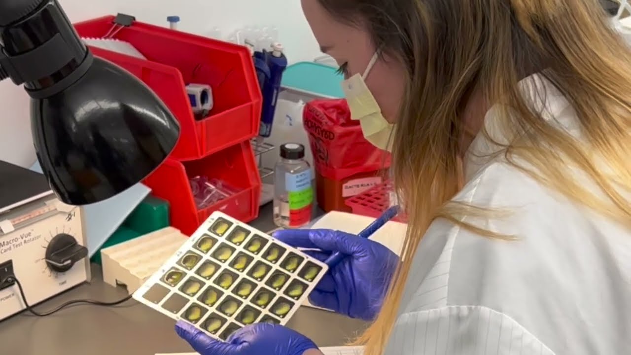 Tour a Fully-Automated Clinical Microbiology Lab