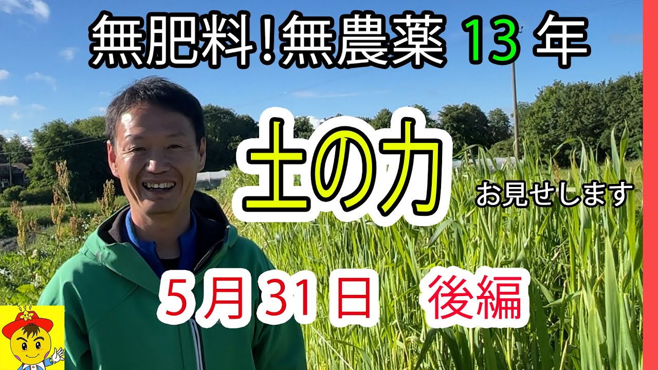 肥料も堆肥も不要！土と種の力