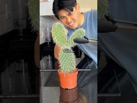 How To Make Nopales Tacos 🤤🌵