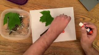 Early Childhood activity: Nature Collage