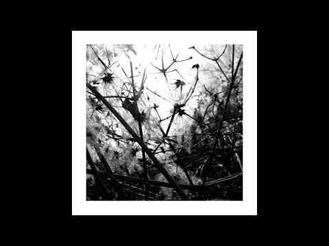 Joachim Spieth - Luciferin [AFFINLP001LTD]