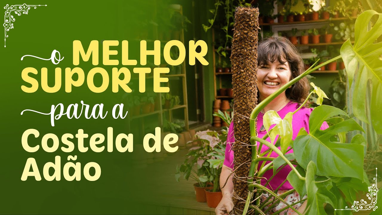 O MELHOR SUPORTE  para a COSTELA DE ADÃO