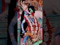 Best Basanti Puja 2025 ️ Shorts Basantipuja2025 Maa Durgapuja Durga